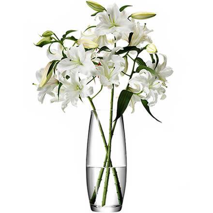 LSA FLOWER Grand Stem Vase 41cm (Single)