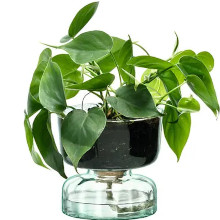 LSA CANOPY Self Watering Planter 13cm (Single) Image