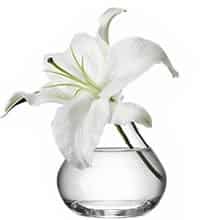 LSA FLOWER Sprig Vase 11cm (Single) Image